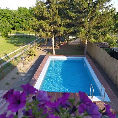 Blue Crystal Daire Subotica Dış mekan fotoğraf